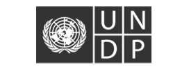 undp
